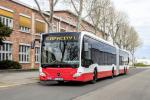 Mercedes-Benz CapaCity L 5 Turen 2015 года